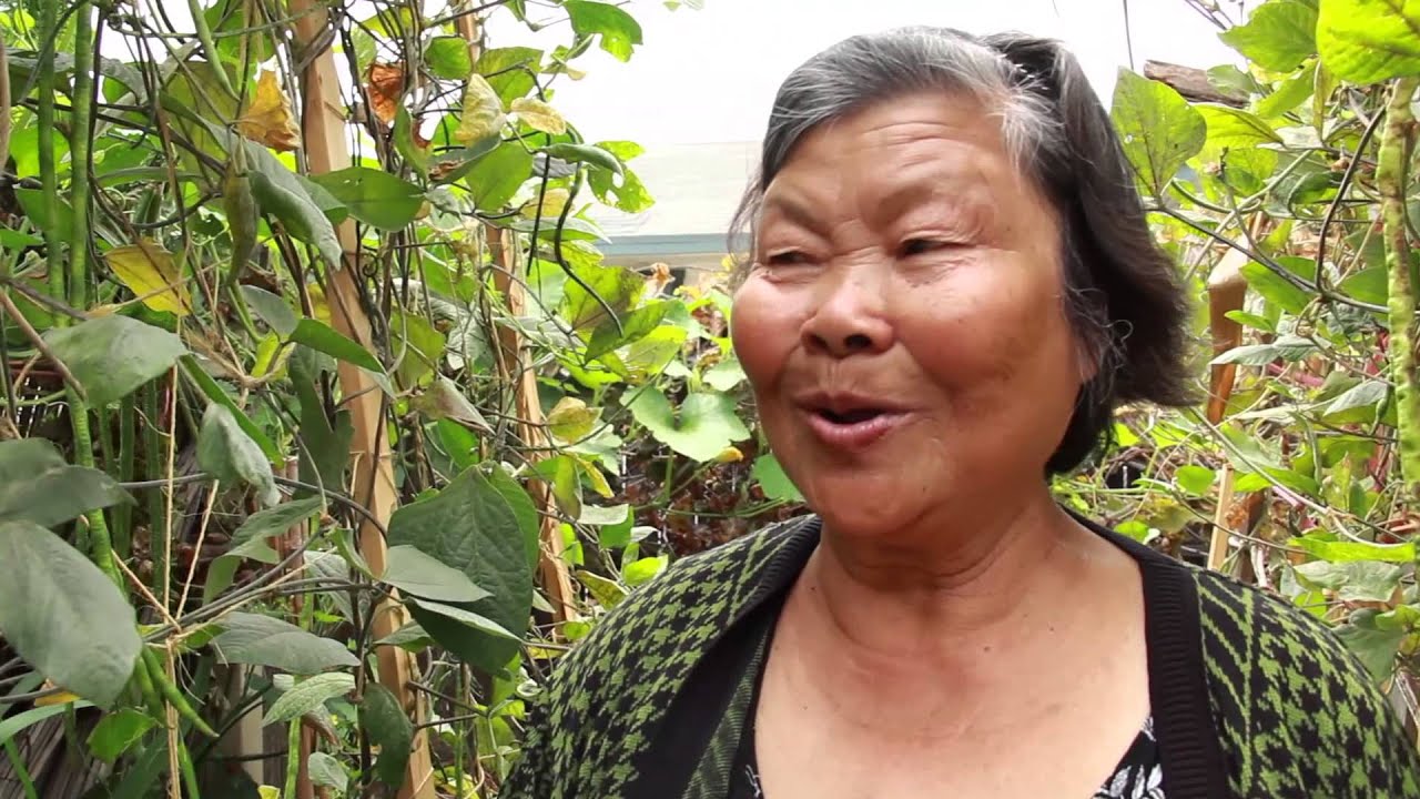 MAYE Center Brings Healing and Cambodian Veggies