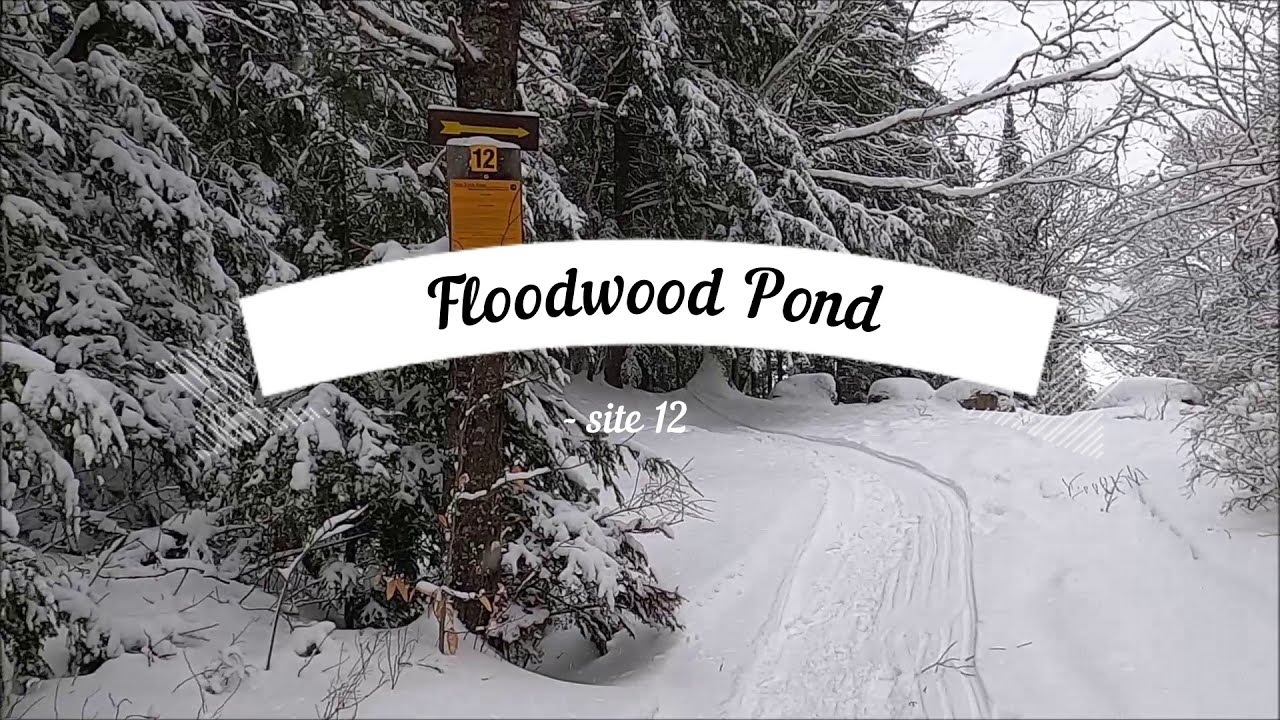 Floodwood Pond site 12, winter camping site review.