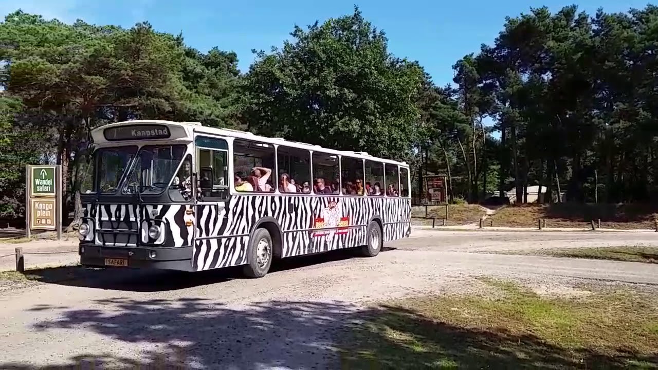 Bus 7 