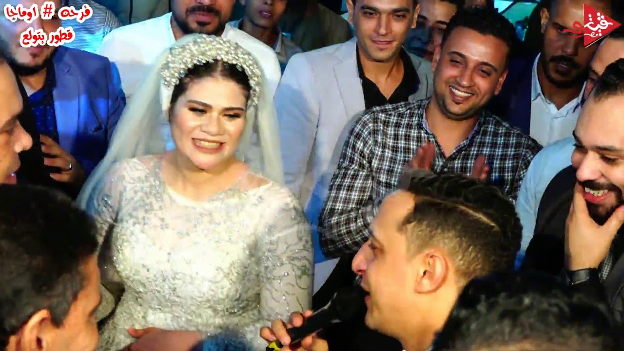 رضا البحراوى اخف دم فى مصر جنن الفرح والاطفال تغنى معاه جيت عالبايظ ولع فرحه اوماجا