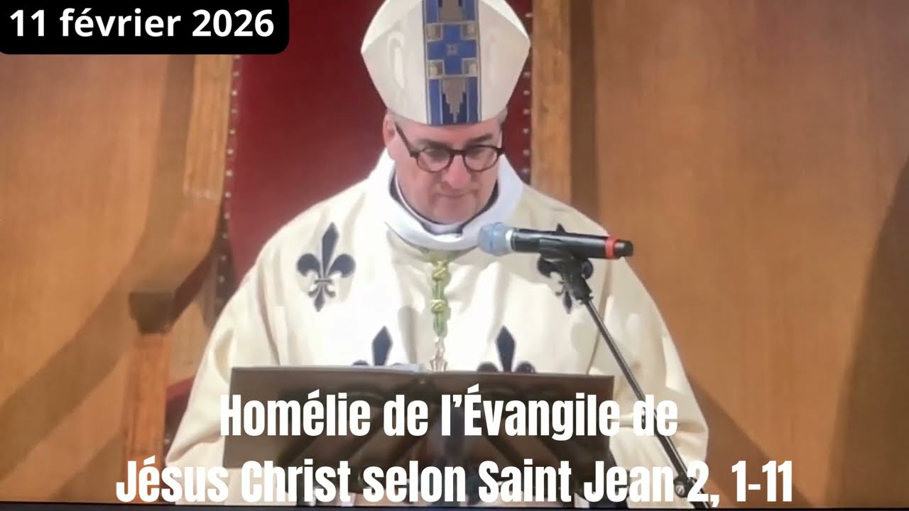 Homélie de Mgr Jean-Marc Micas: Solennité de Notre Dame de Lourdes -11 février 2026