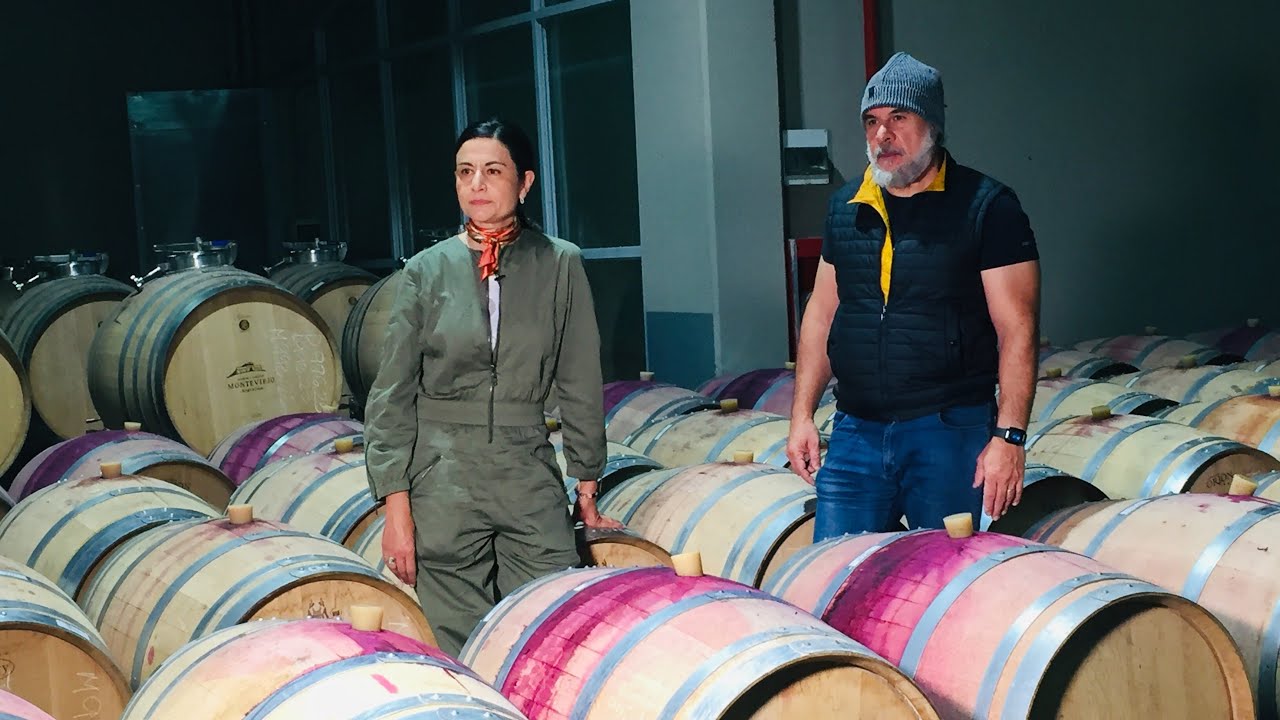 ¿En qué consisten las microvinificaciones? 1° parte