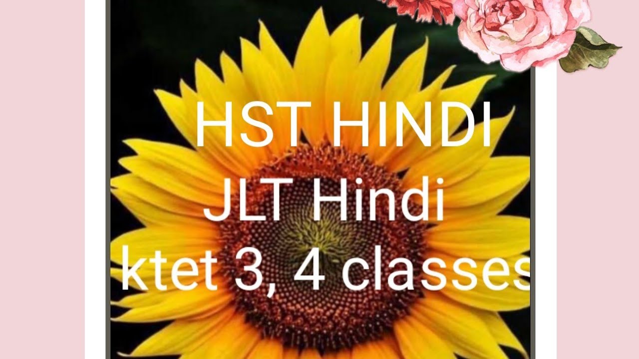 HST Hindi, JLT Hindi, ktet 3,4 classes