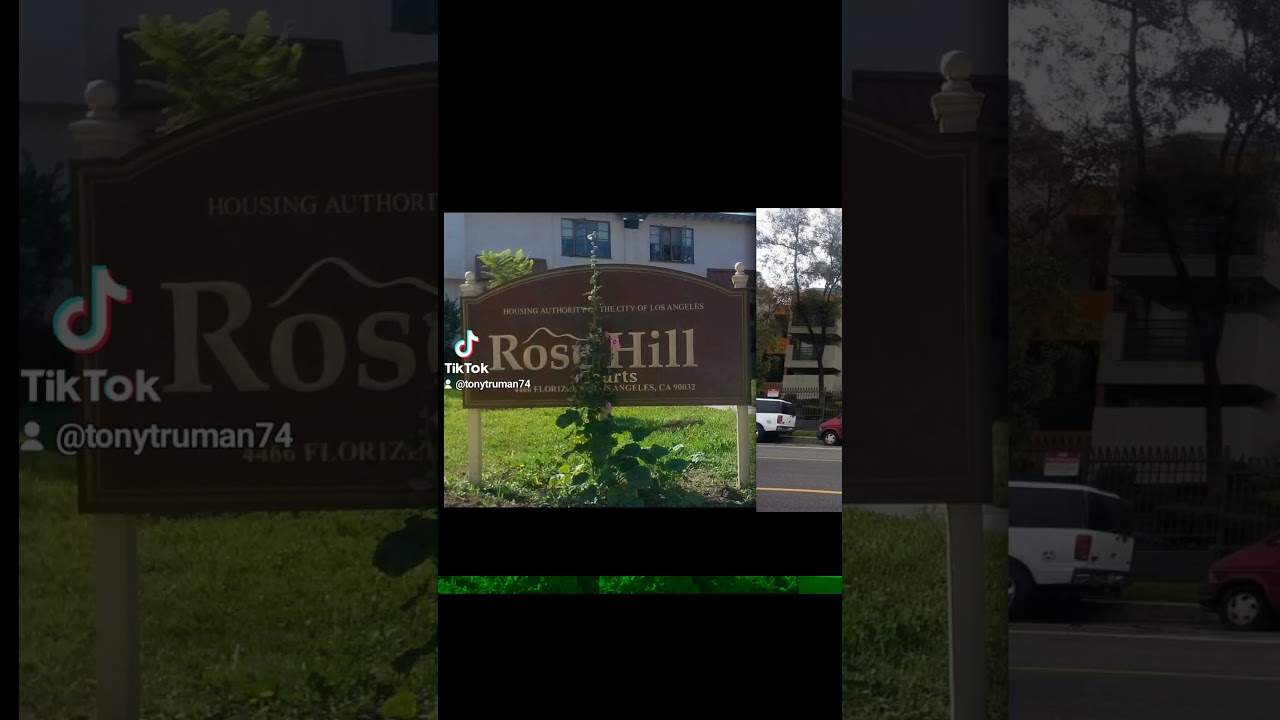 #projectraised #projects #rosehill #bornandraised