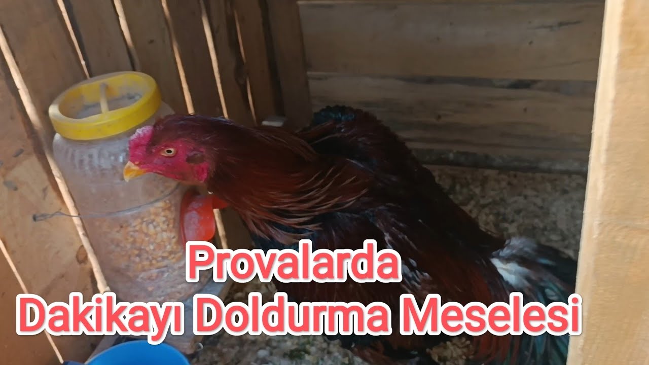 Provalarda Dakikayı Doldurma Meselesi