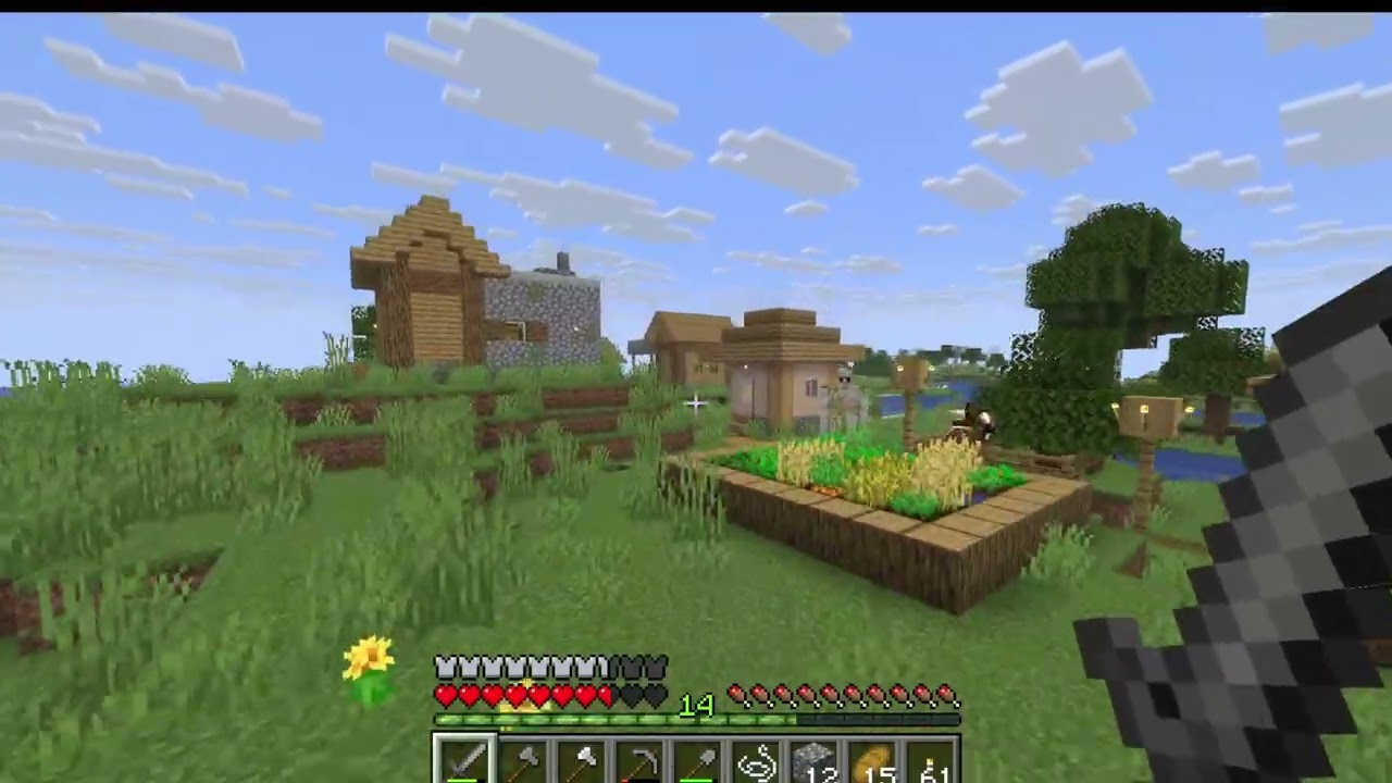 minecraft oynadım