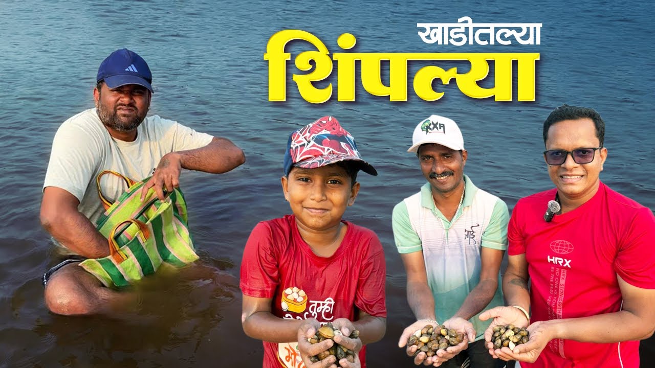 खाडीतल्या लाळये शिंपल्या | शिंपल्याच कालवण | Small size Clams