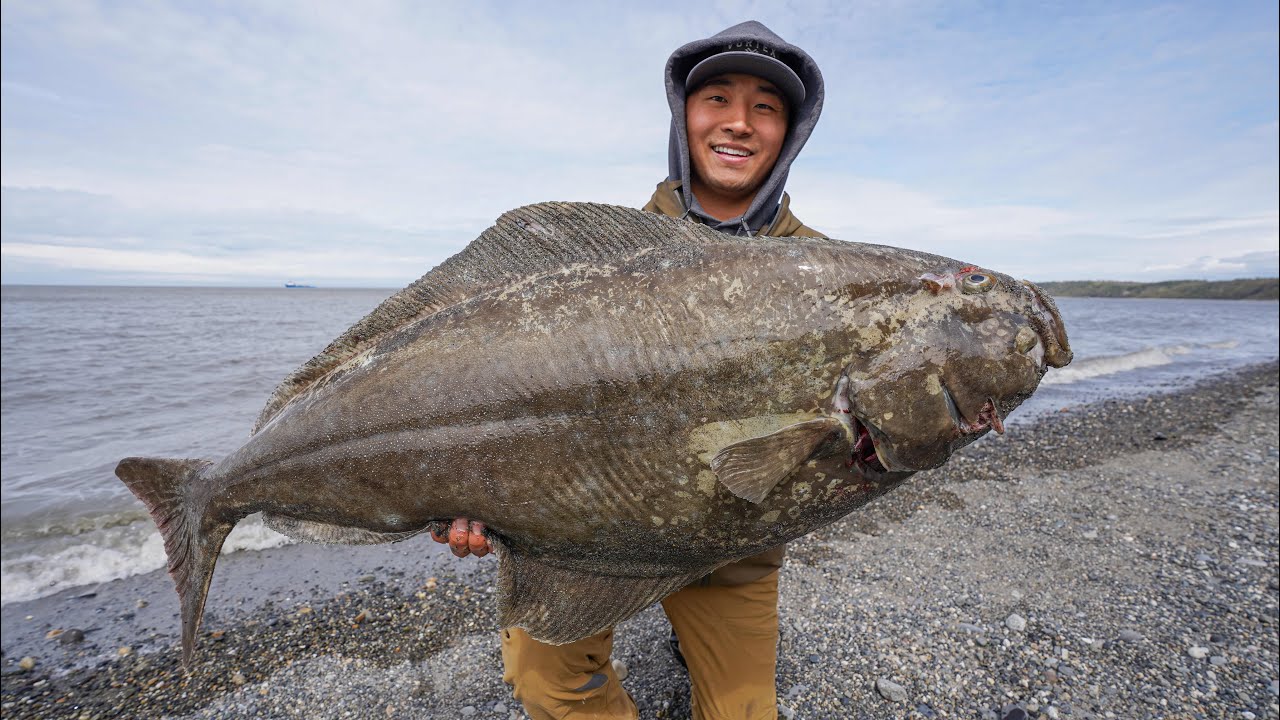 Alaska Shore Fishing For GIANT Halibut! (CATCH CLEAN COOK)