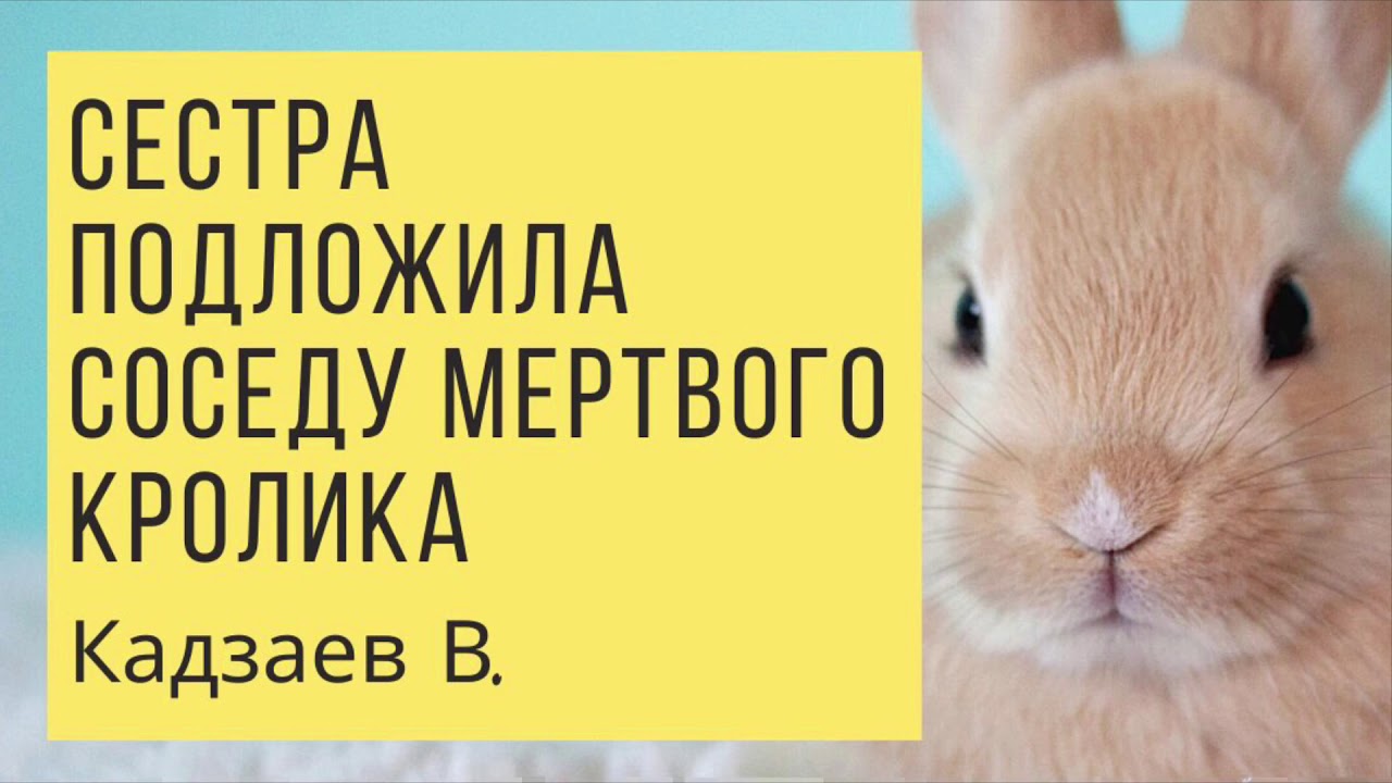 Сестра подложила соседу мертвого кролика | Пример из проповеди Кадзаев В.