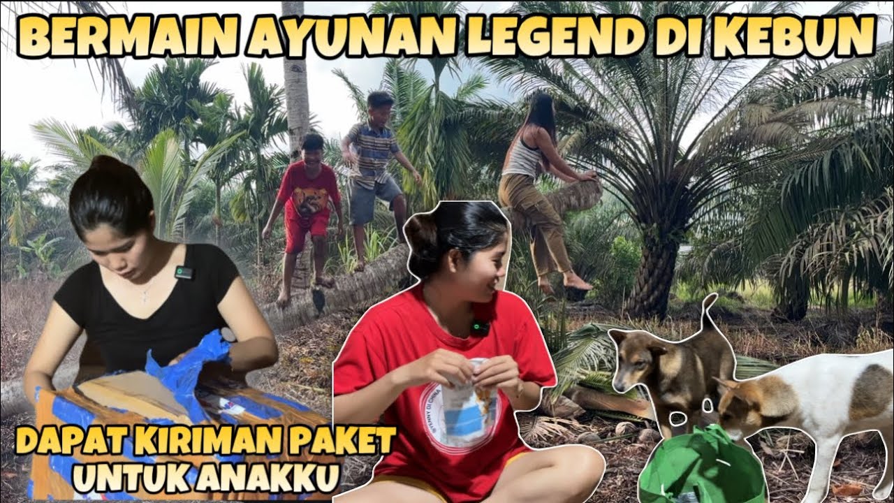 KEKEBUN BUKANNYA BANTU BAPAKKU KAMI MALAH ASYIK BERMAIN DAN ANAKKU DAPAT KIRIMAN PAKET