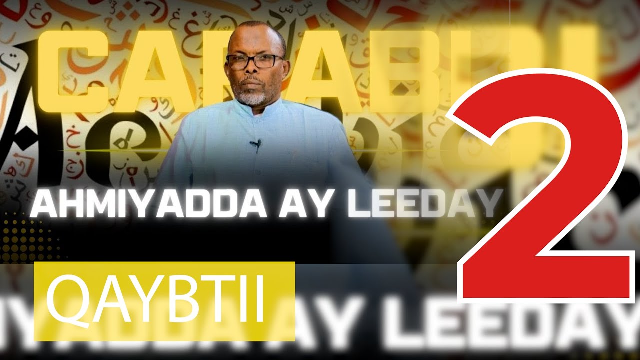 “Waxa jira qaabab badan oo uu qofku isku bari karo luuqadda Carabiga” Dr. Daahir Cali Jaamac