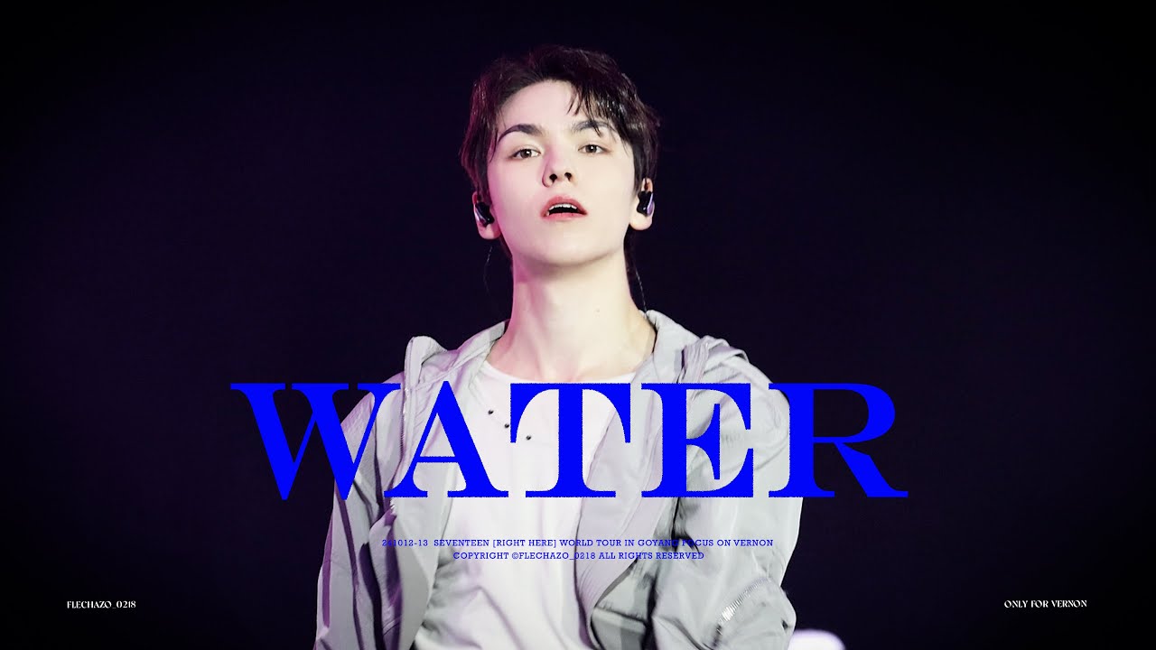 [241012-241013 RIGHT HERE in GOYANG  ]WATER - VERNON FOCUS 버논 직캠