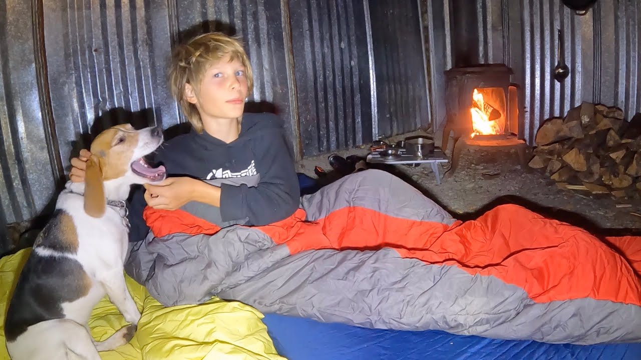 Overnight Solo Camping With My Dog in The Bushcraft Log Cabin