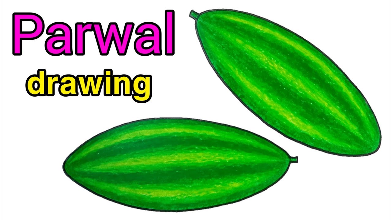 Parwal drawing / how to draw parwal step by step very easy / পটল আকা