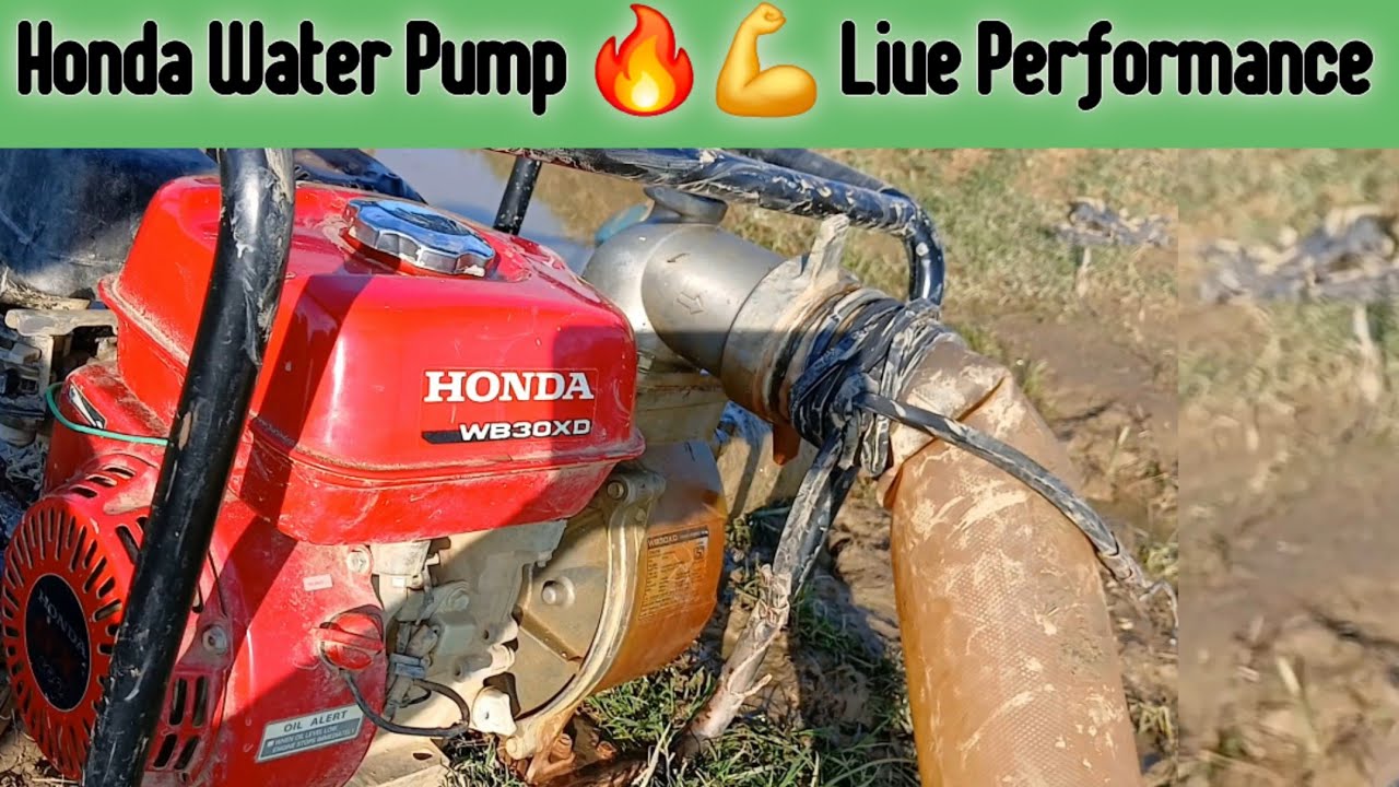 Honda Water Pump WB30XD 🔥💪 Live Performance | होंडा वाटर पम्प का Specifications