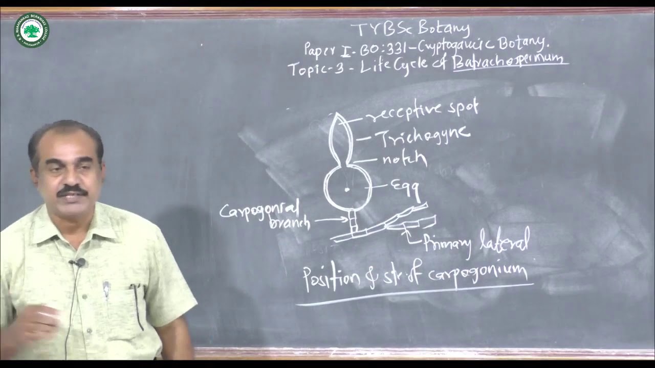 T.Y.B.Sc.(Botany) || Topic: Lifecycle of Batrachospermum || By Prof. Mate H.T.