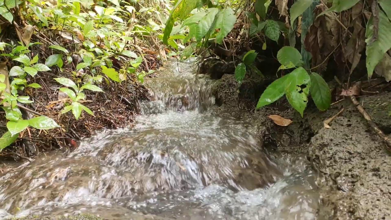 Healing River Ambience – Calm River Sounds with White Noise for Stress Relief
