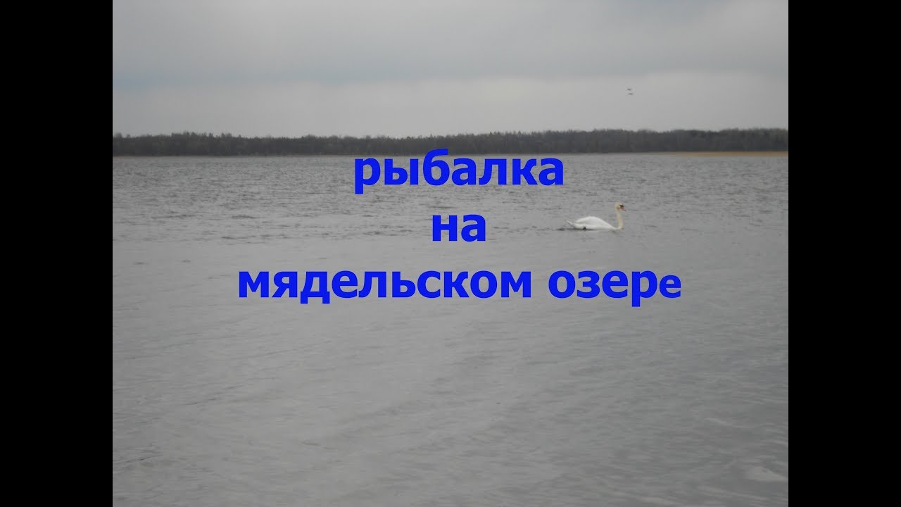 мядель весна 2020