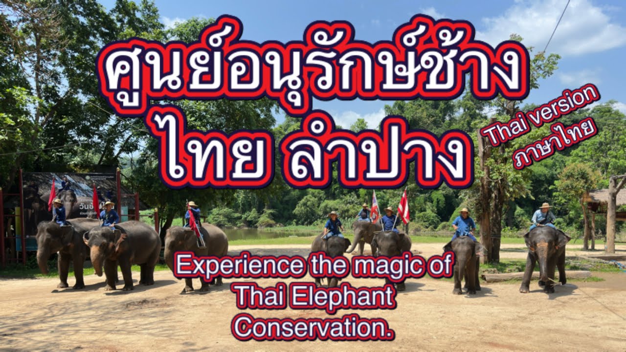 Experience the magic of Thai Elephant Conservation ศูนย์อนุรักษ์ช้างไทยลำปาง