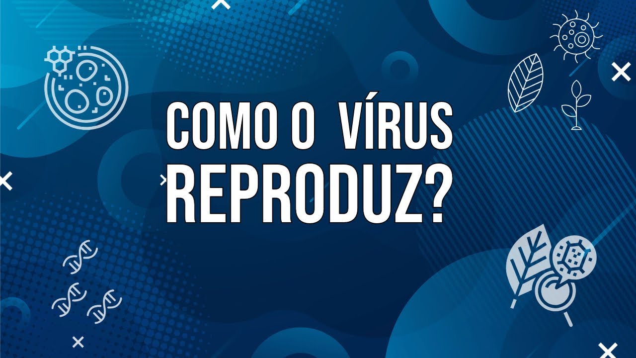 Como ocorre a reprodução dos vírus?