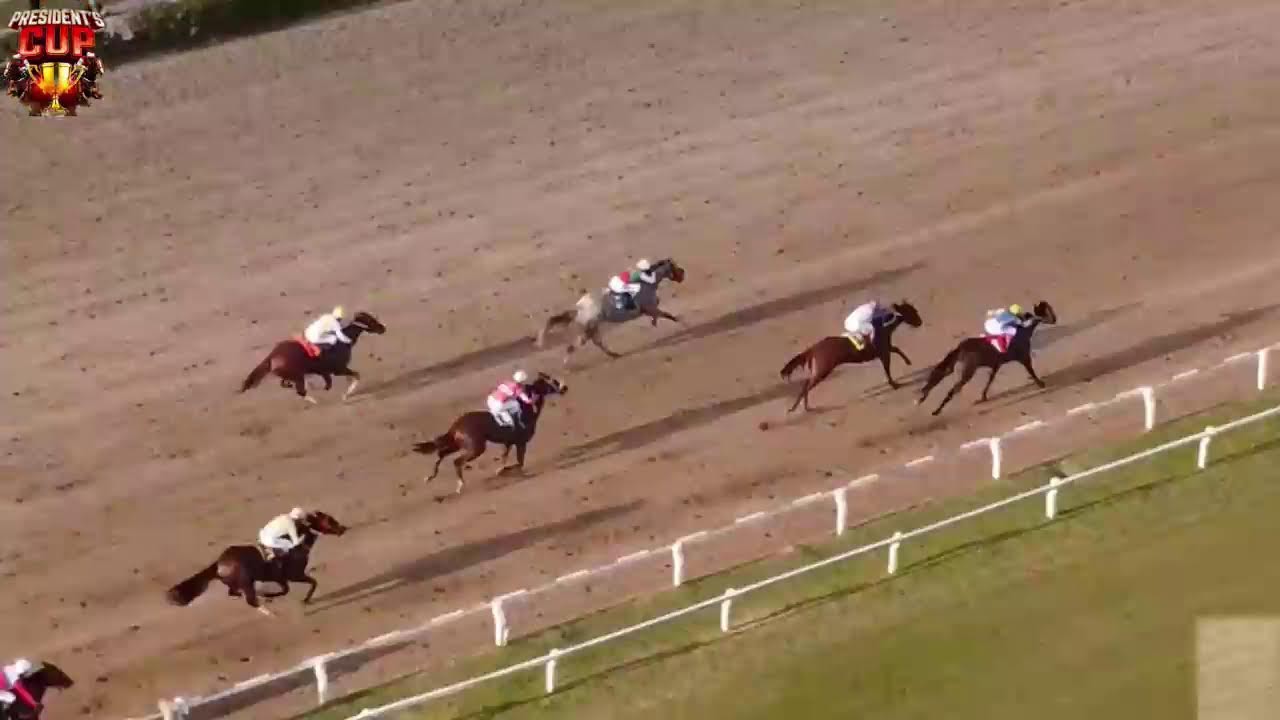 LIVE HORSE RACING PRESIDENT&rsquo;S CUP GUYANA