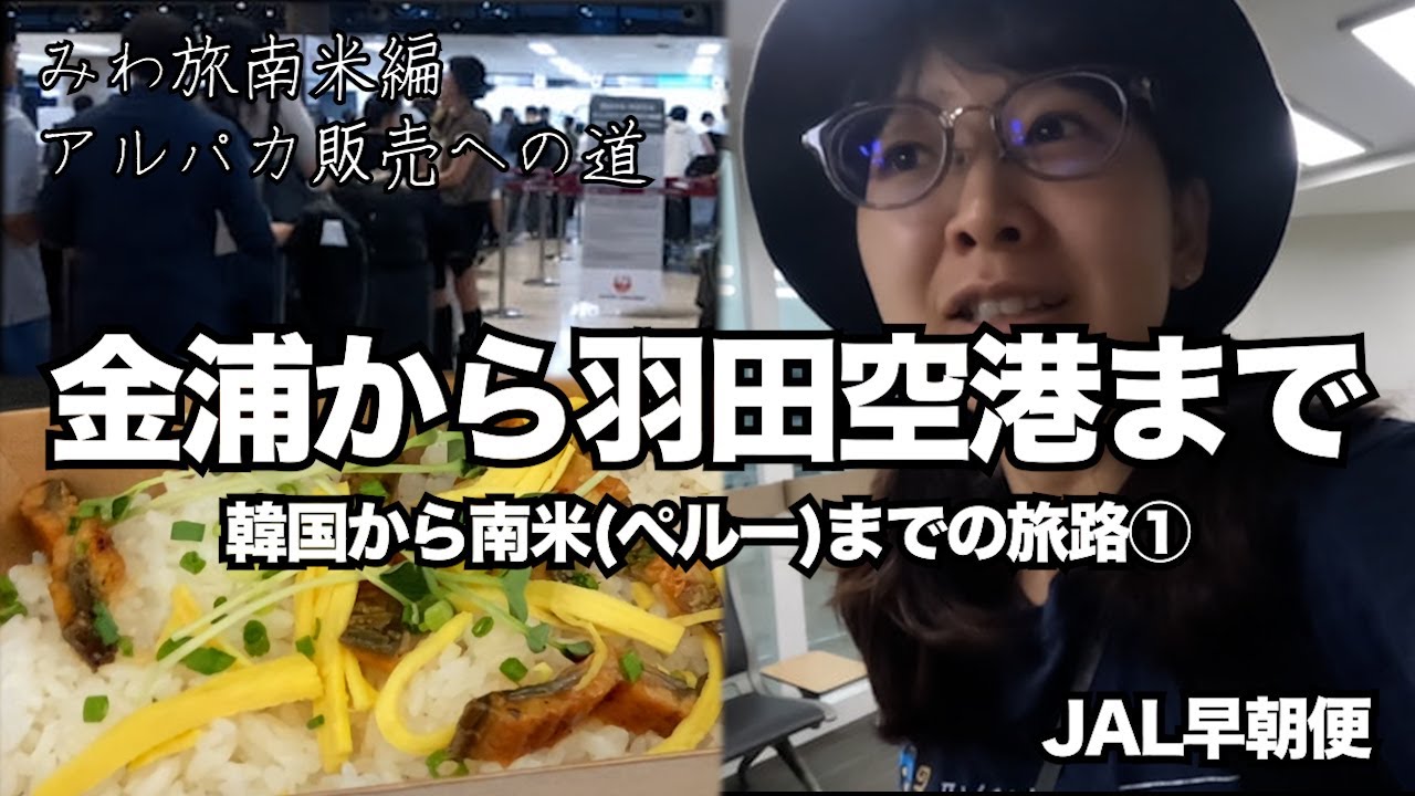 【韓国発日本経由で南米へ① 】JALの早朝便で金浦(GMP)から羽田(HND)まで アルパカ販売への道が始まるのだった