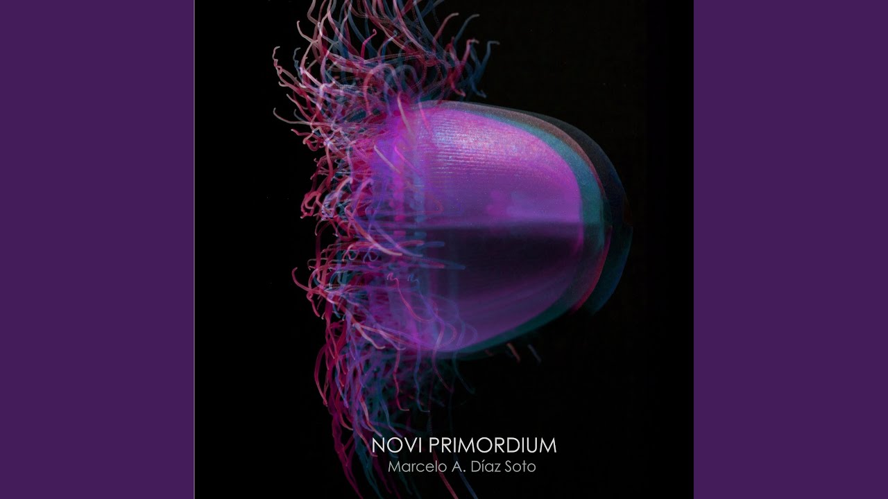 NOVI PRIMORDIUM