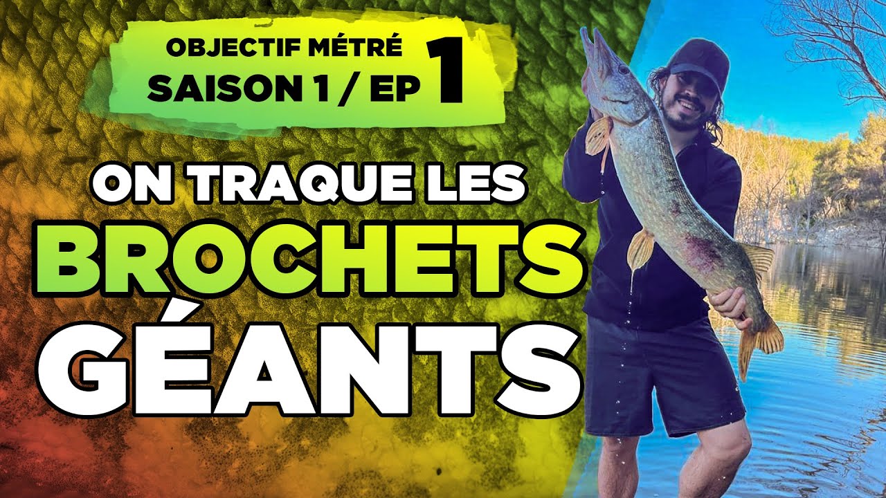Objectif Métré : du gros BROCHET pour commencer ?