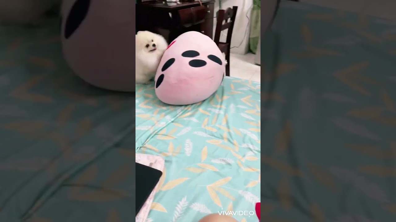 Dâu mê đi chơi