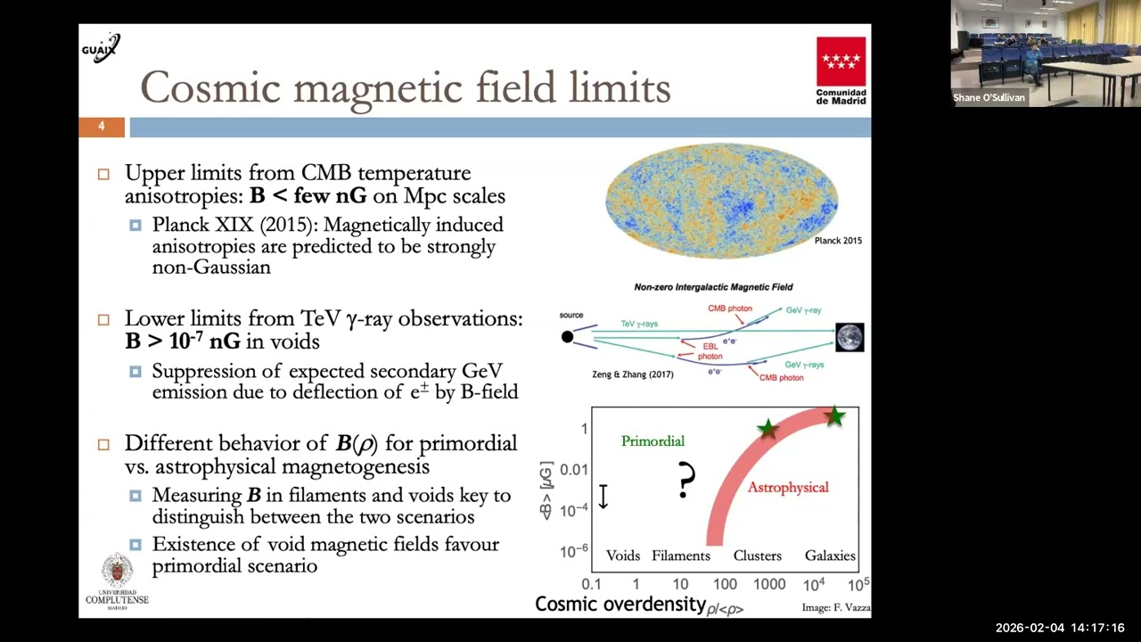 DeCAF 04-04-2026: Magnetic Fields Across the Universe: From Primordial Physics to the Cosmic Web