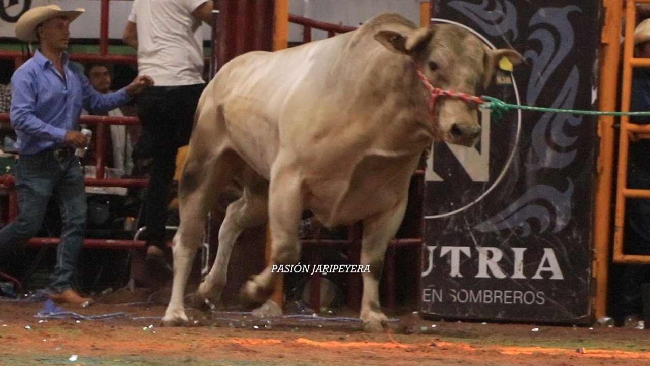 🔴 Despedida AARON ORTIZ vs PELE A DE GALLOS en Vivo 🔴 H3H Charo Michoacán 1 enero 2026| Jaripeo