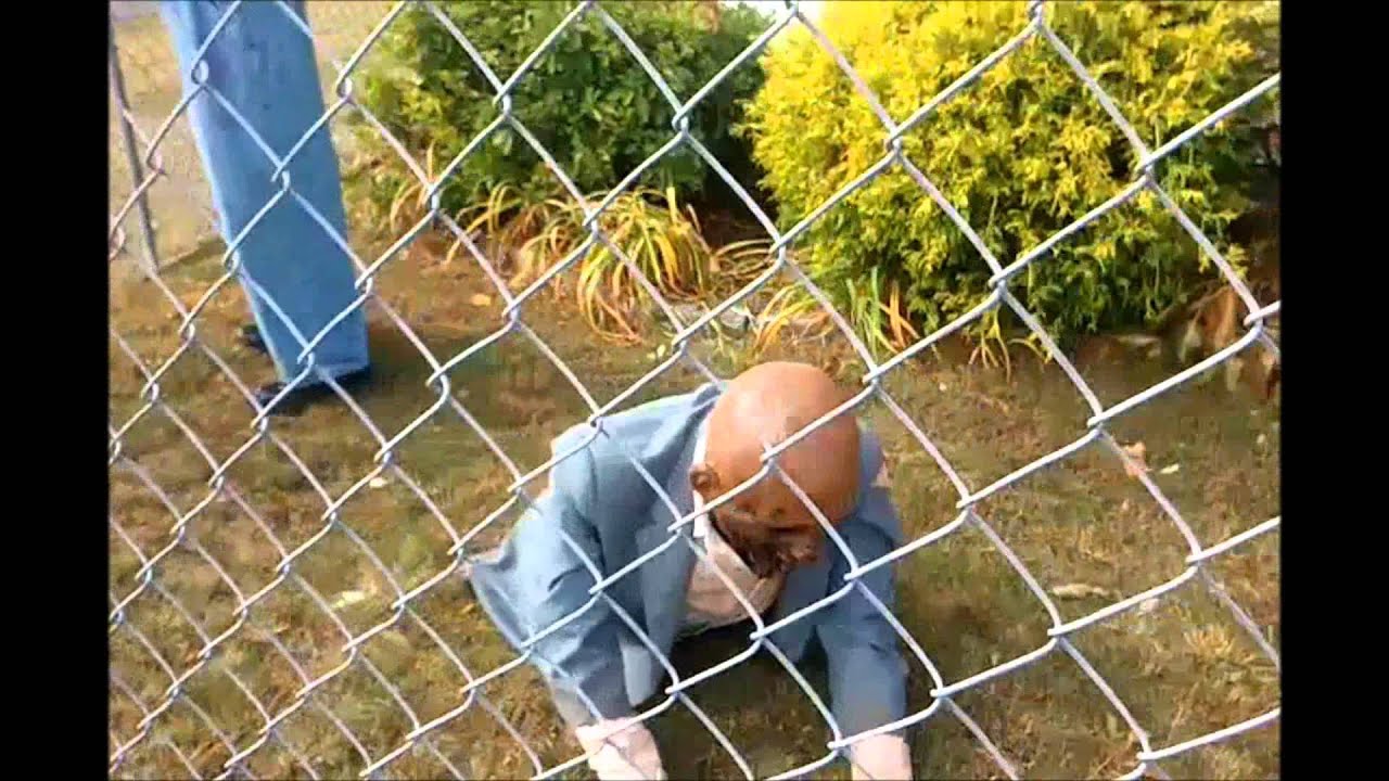 Zombie Containment Cage