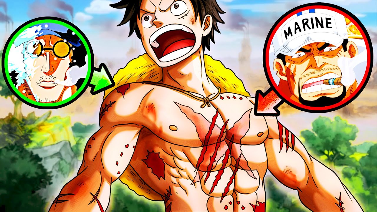 Luffy Reveals His Scars To The World