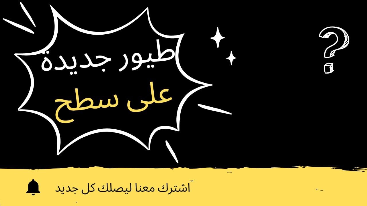 حمام كش جديدة على سطح .. وليش غيرت الزقه شاهد للنهايه😍