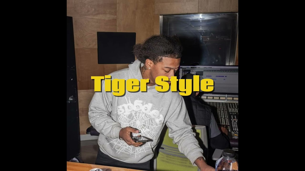 [FREE] LulDame23 X FredoBagz Sample Type Beat - “Tiger Style”