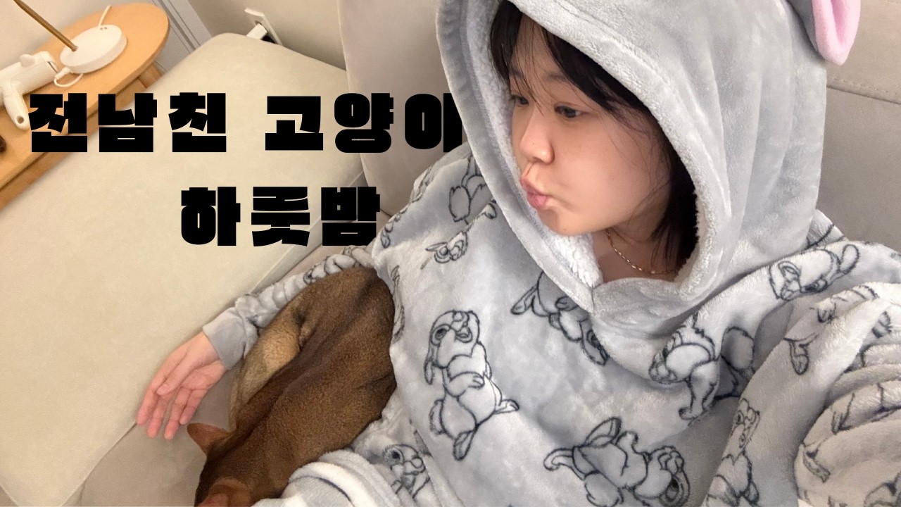 (vlog) 누가 고양이 키우는거 쉽다 그랬니 | 전남친 고양이와 1박 2일 브이로그...🐱
