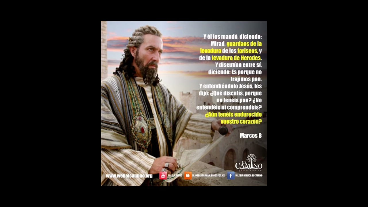 Reflexión del Santo Evangelio tiempo Ordinario 