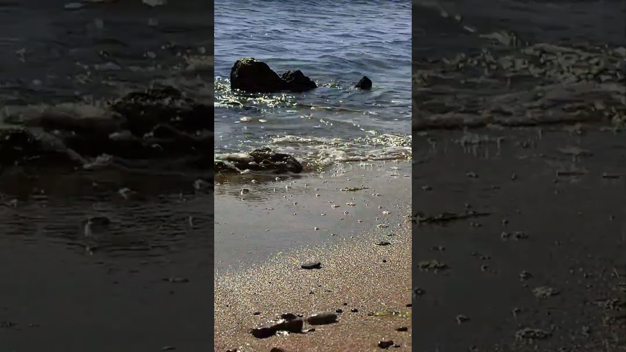 Шум морских волн 