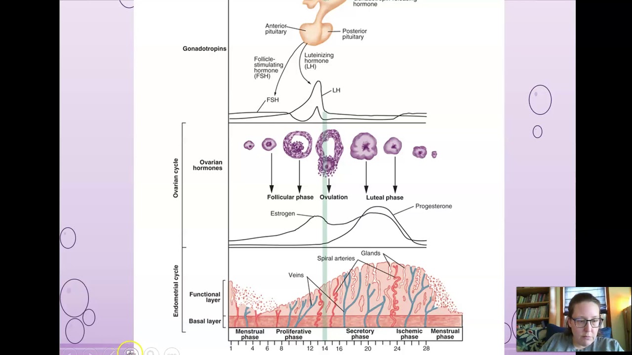 Clinical Chemistry Reproductive diseases and Pregnancy