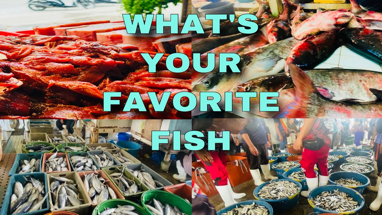 FRESH FISH AND SEAFOODS AT THE FISHPORT GENSAN THE TUNA CAPITAL OF THE PHILIPINES MARKET TOUR