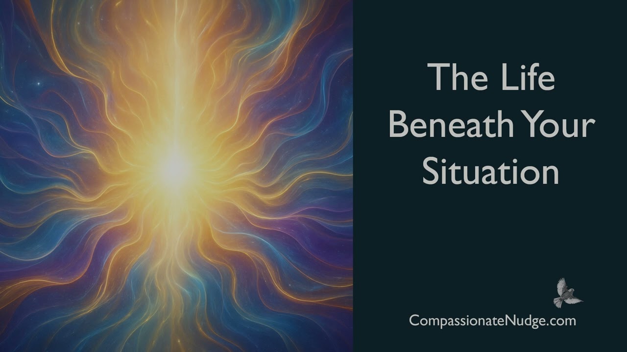 The Life Beneath Your Situation