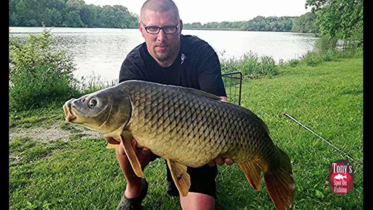 Carping on the Des Plaines River, IL