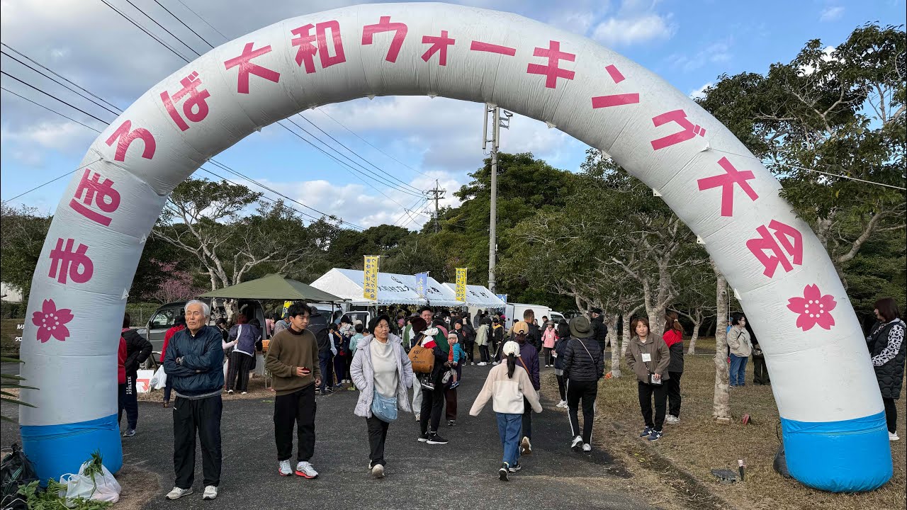 奄美LIFE〜緋寒桜と森の絶景｜まほろば大和ウォーキング大会