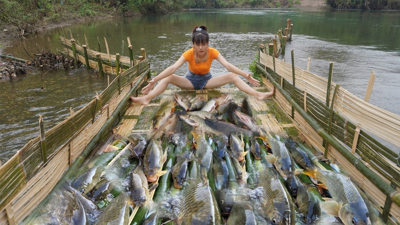 Build fish trap catch many fish - Harvesting a lots of eggs, watermelons - Transport by trucks sell