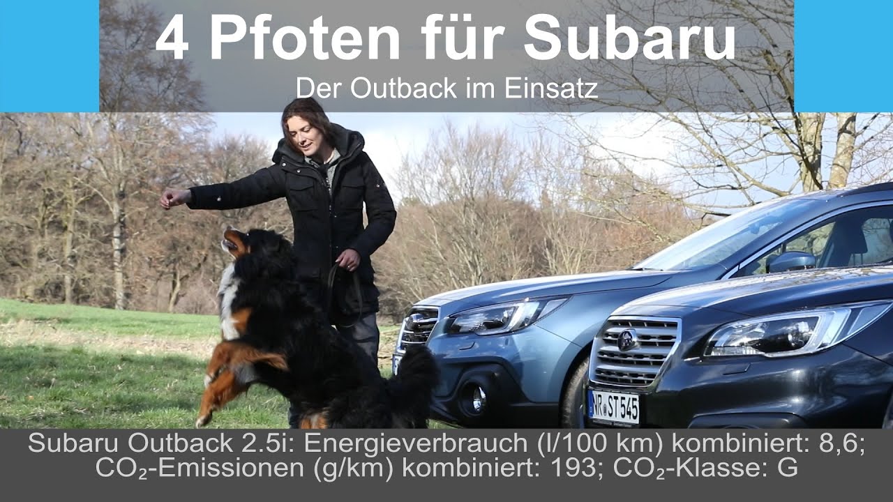 4 Pfoten für Subaru