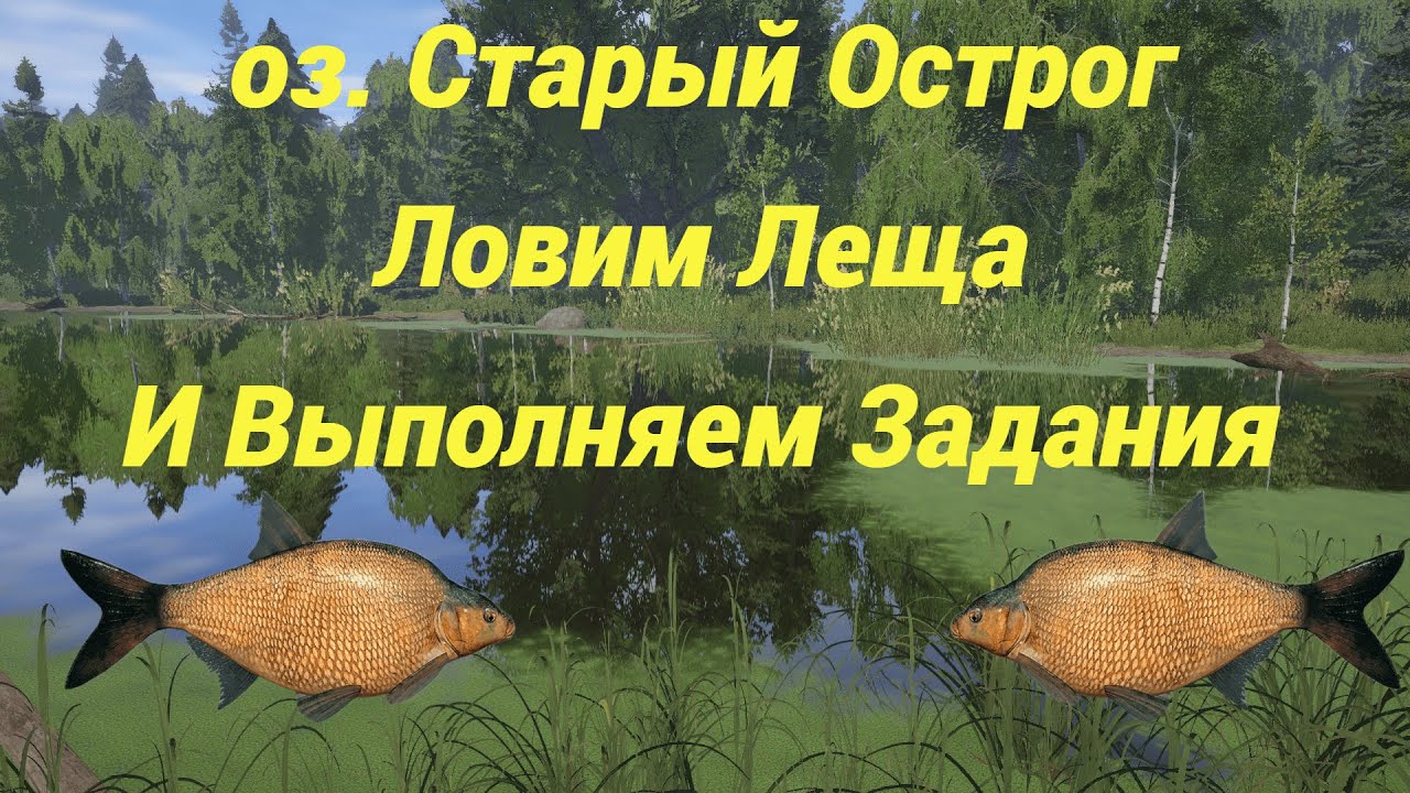 Русская рыбалка 4 • рр4 • RF4 • Ловим Леща И Выполняем Задания • Турниры с призами
