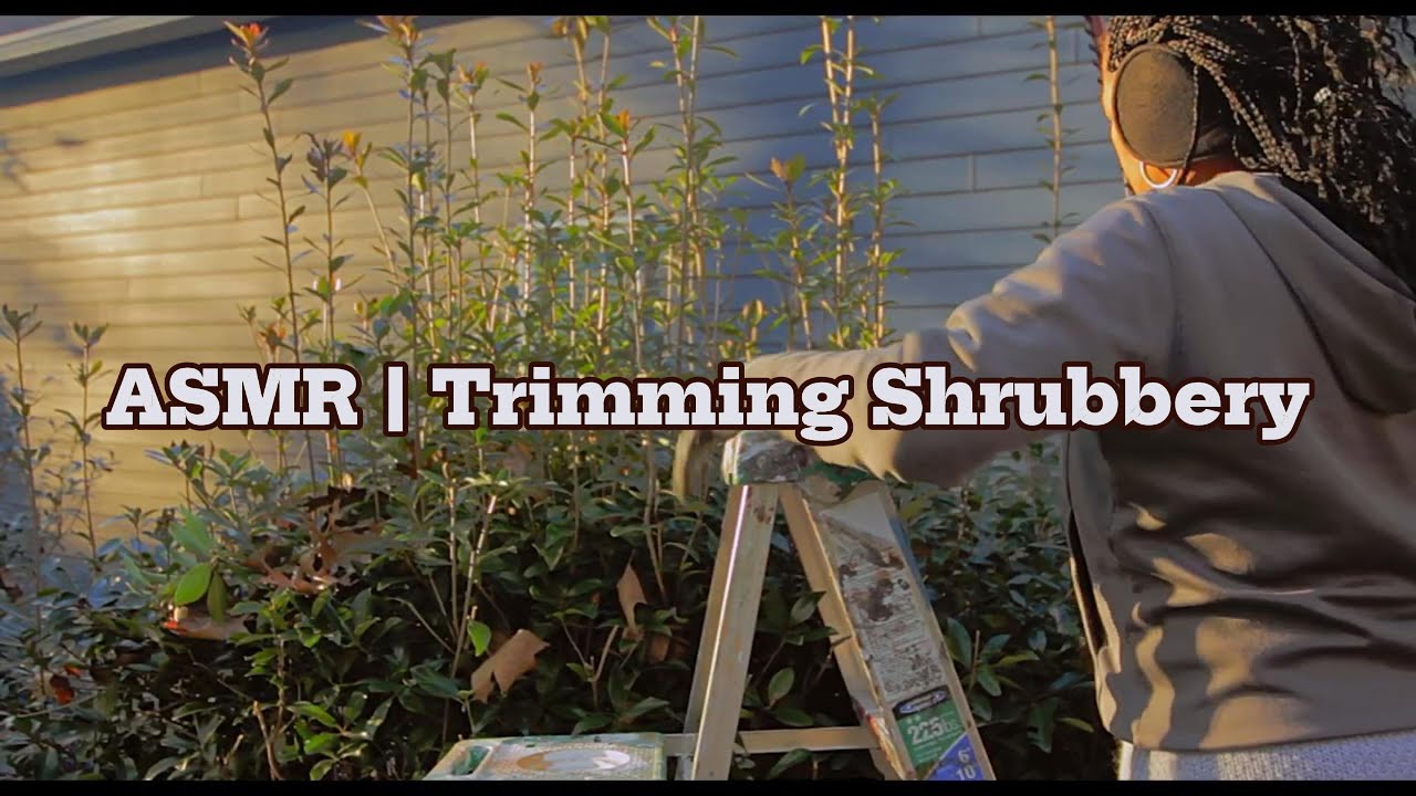 Get Ready for Spring | ASMR Trimming Shrubbery