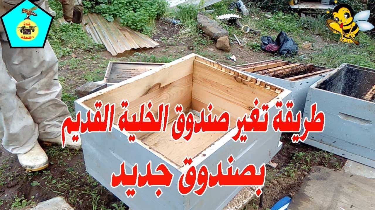 طريقة تغير صندوق الخلية القديم بصندوق جديد