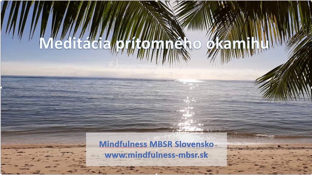 Mindfulness Meditácia prítomného okamihu Mária Boťanská