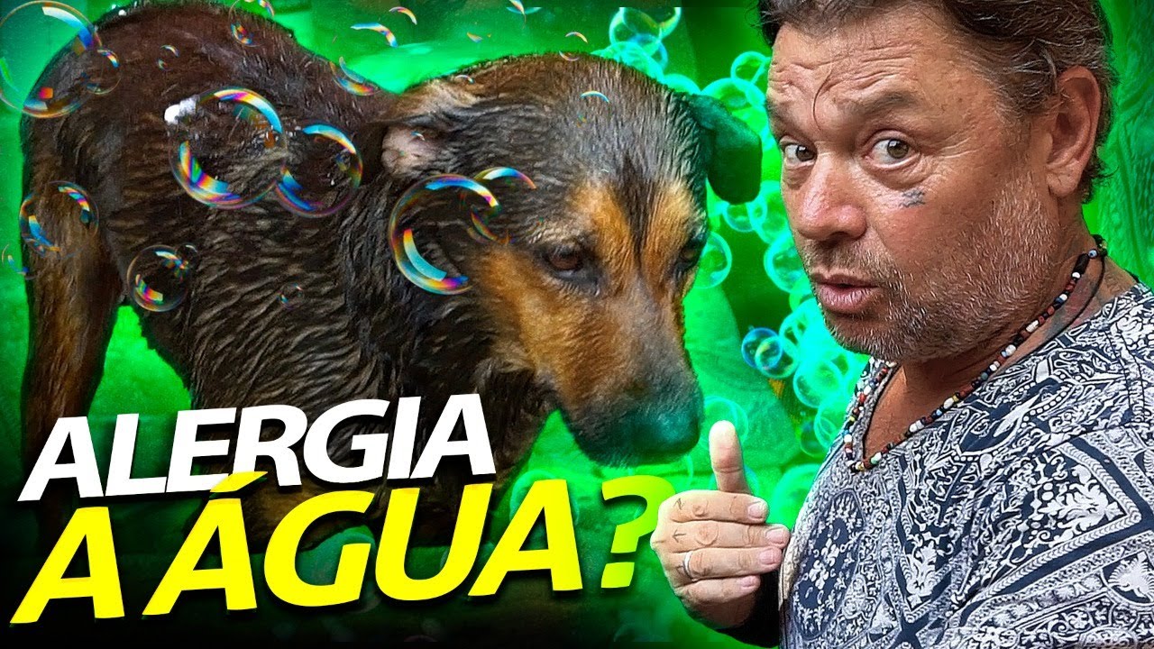 VIRA LATAS NÃO TOMAM BANHO! | A CASA DOS BICHOS